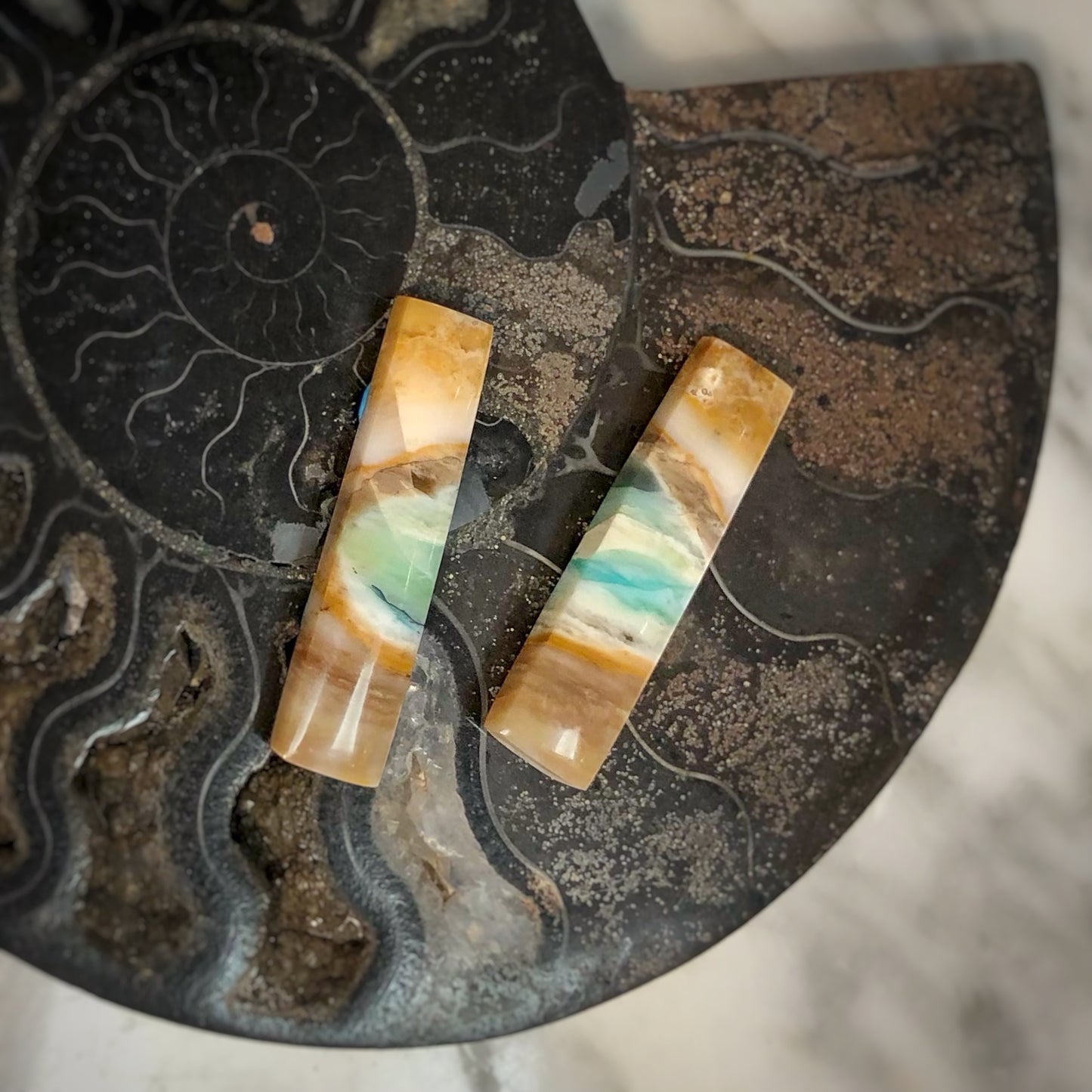 Opalized Petrified Wood Pair