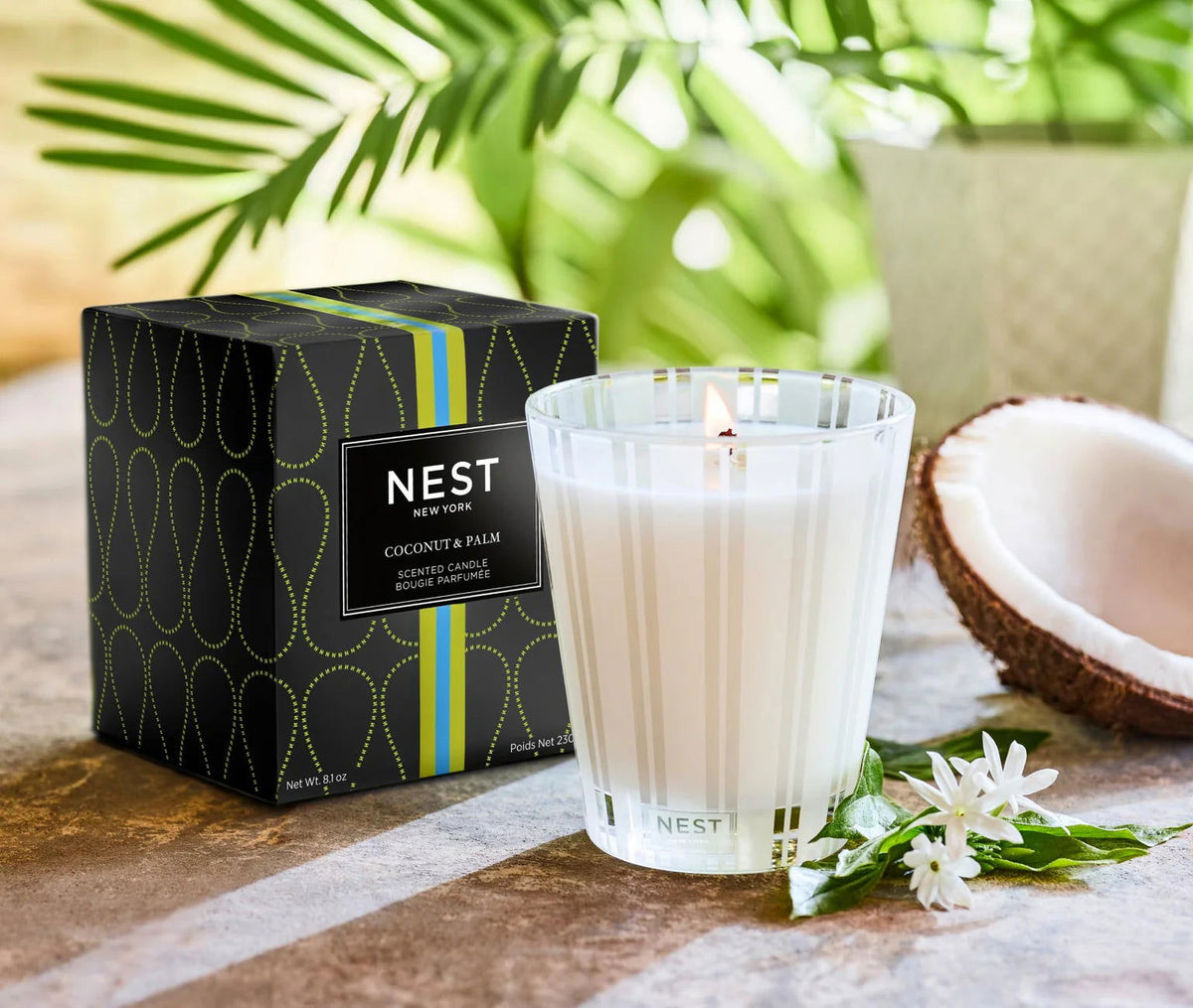 coconut and palm candle Coconut and Palm Candle