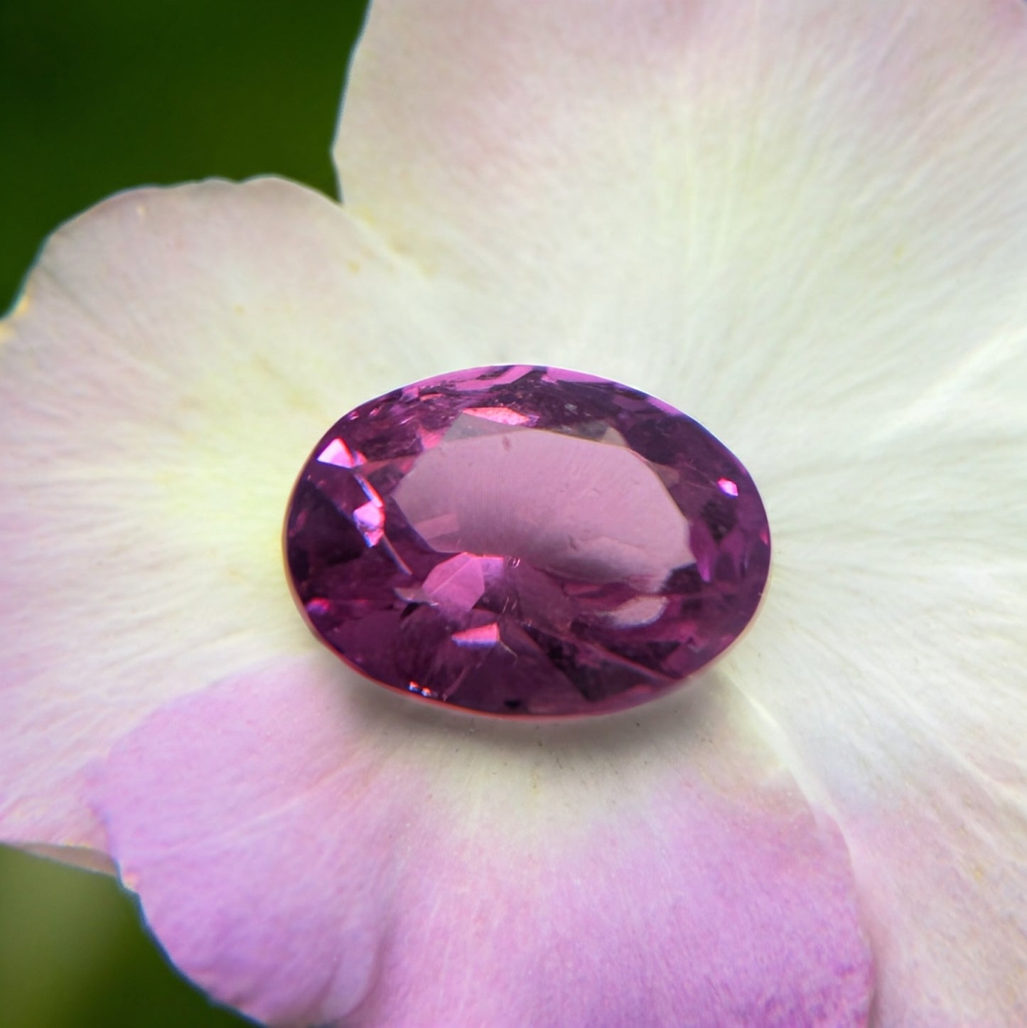 Oval Pink Sapphire
