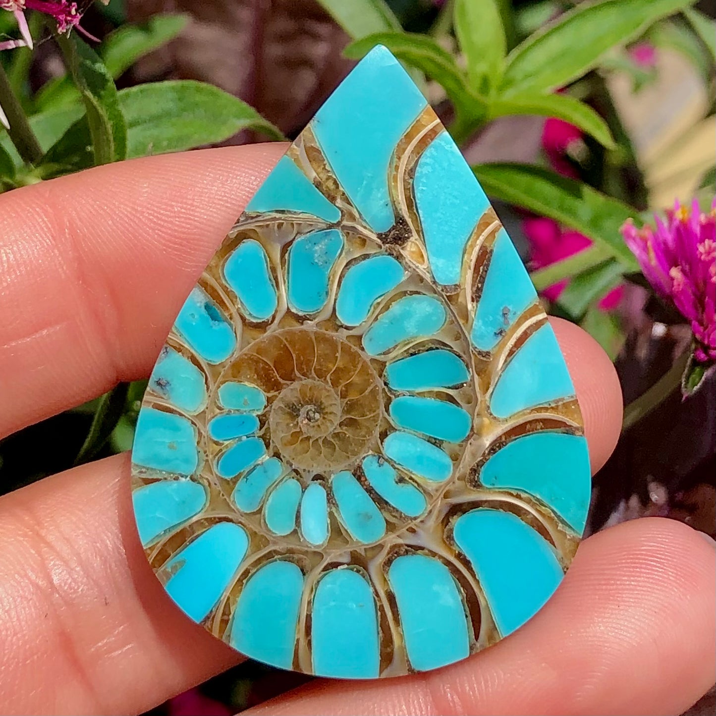 Ammonite with Turquoise Inlay
