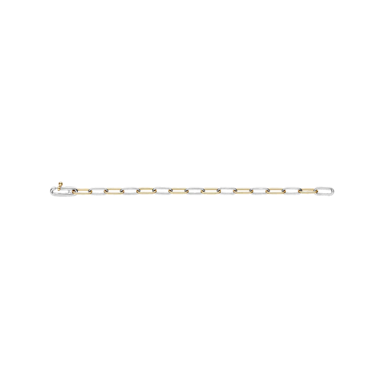 Paperclip Link Bracelet