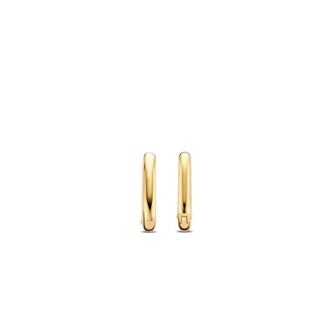 Oval Hoops or Charms