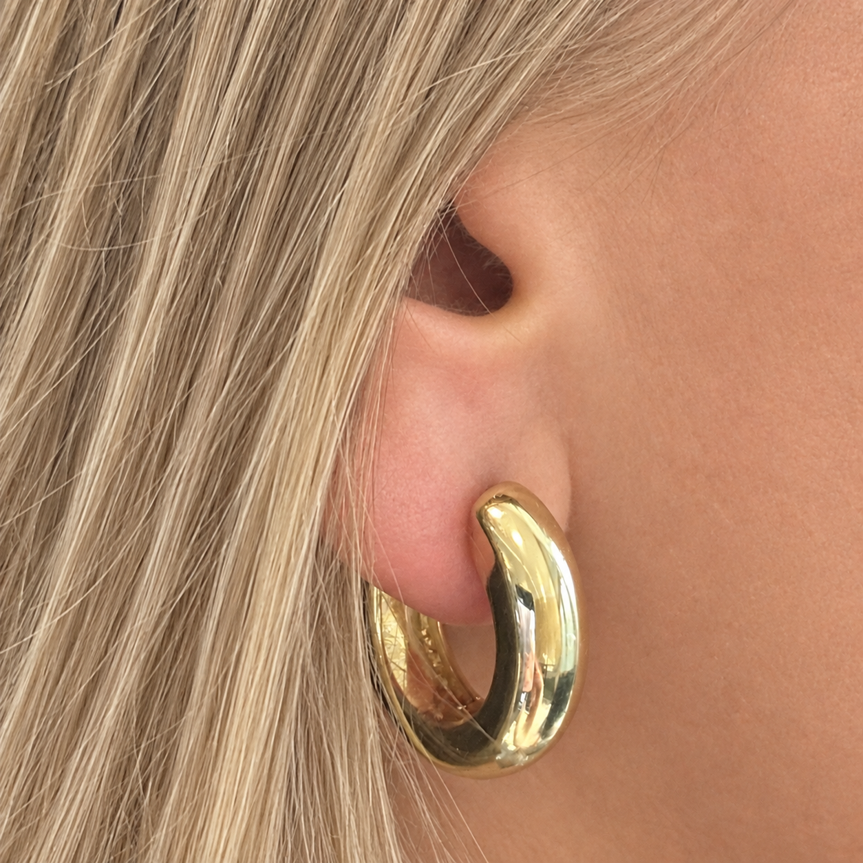 Domed Thick Hoops