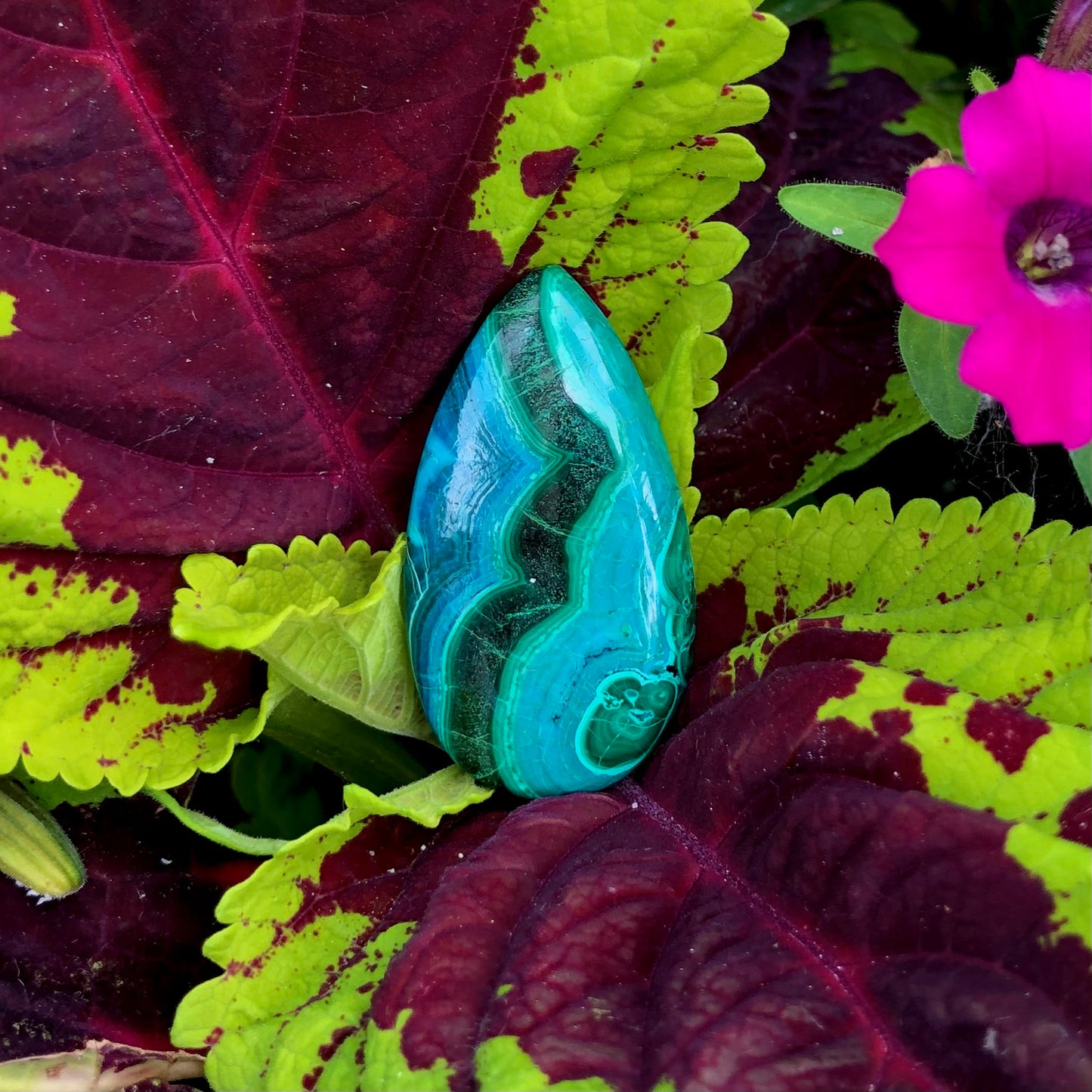 Chryscocolla with Malachite