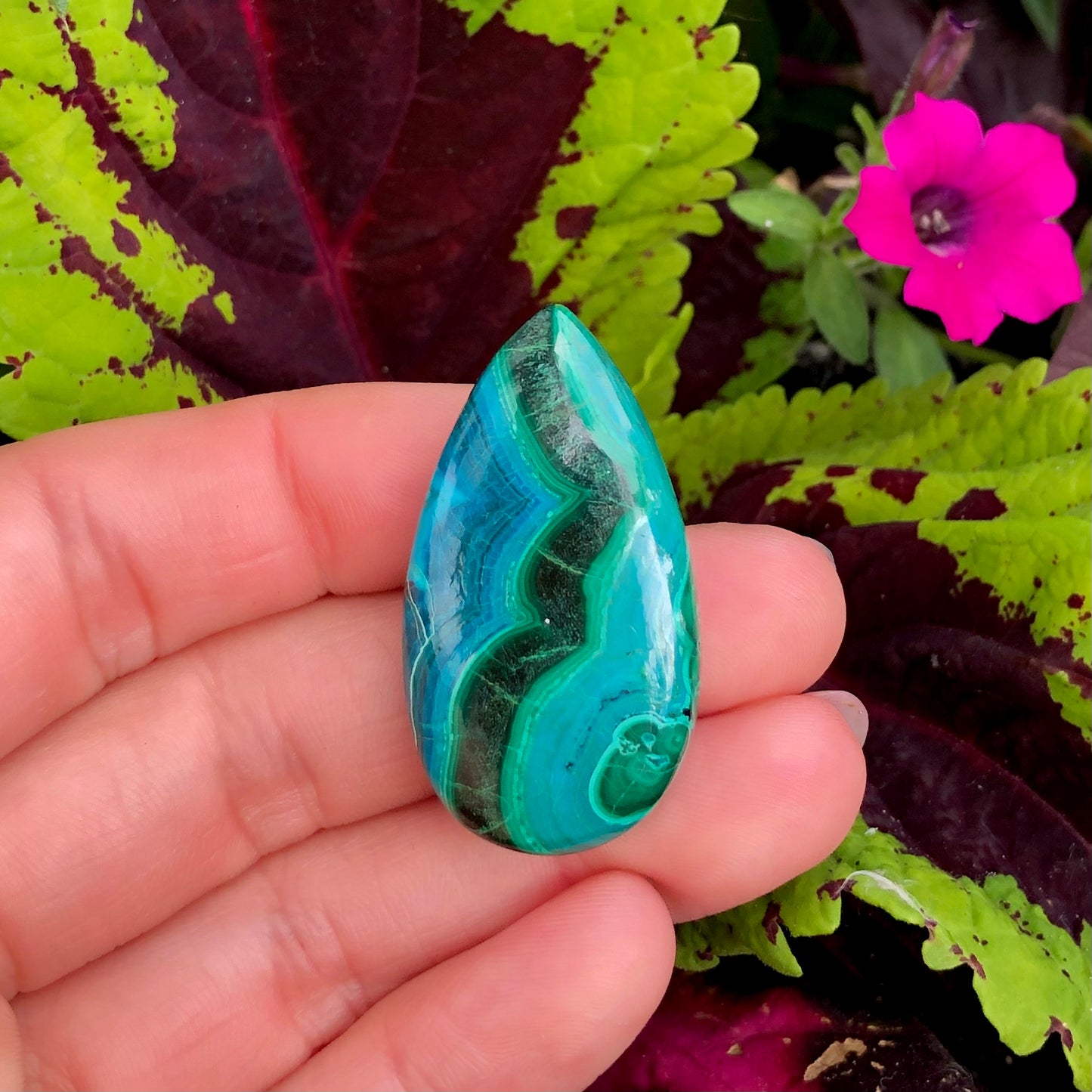 Chryscocolla with Malachite