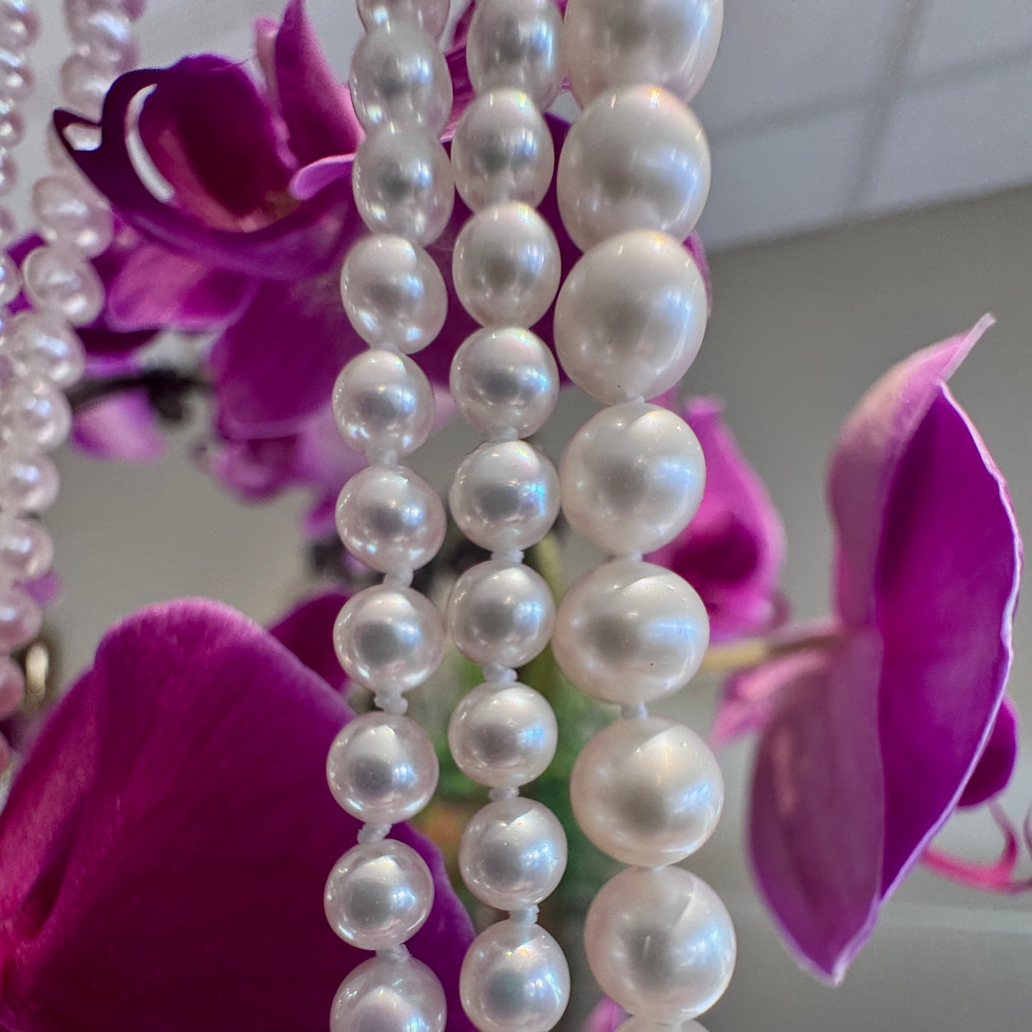 Freshwater Pearl Necklace