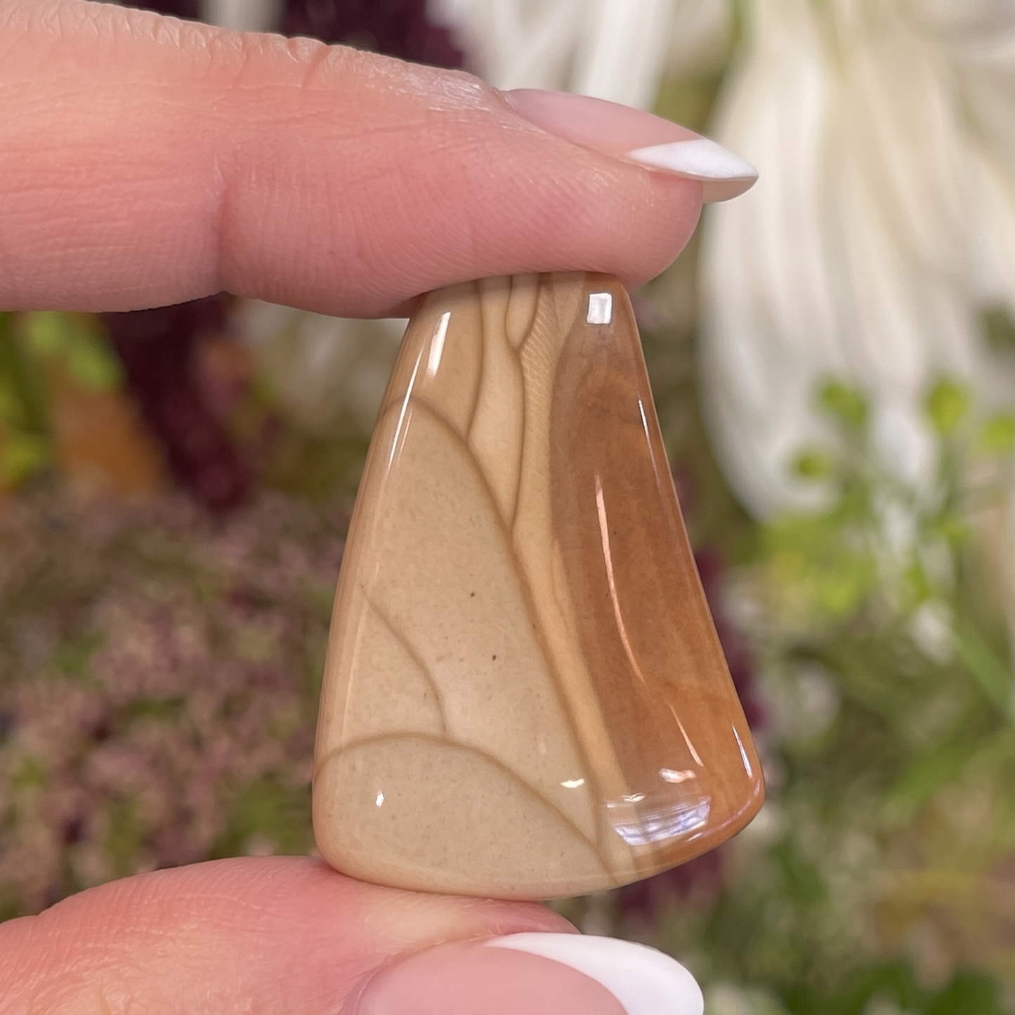 Picture Jasper