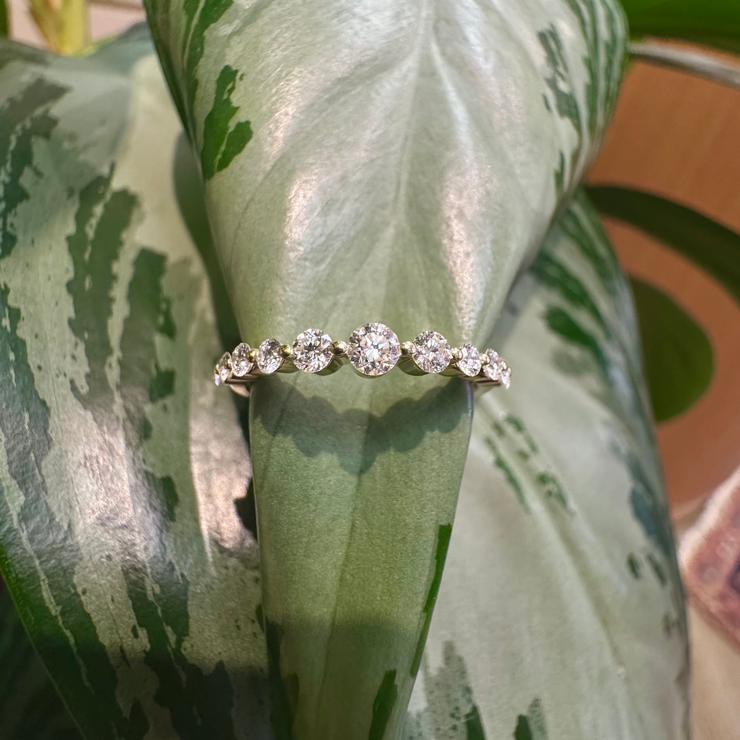 Eleven Stone Graduating Diamond Ring