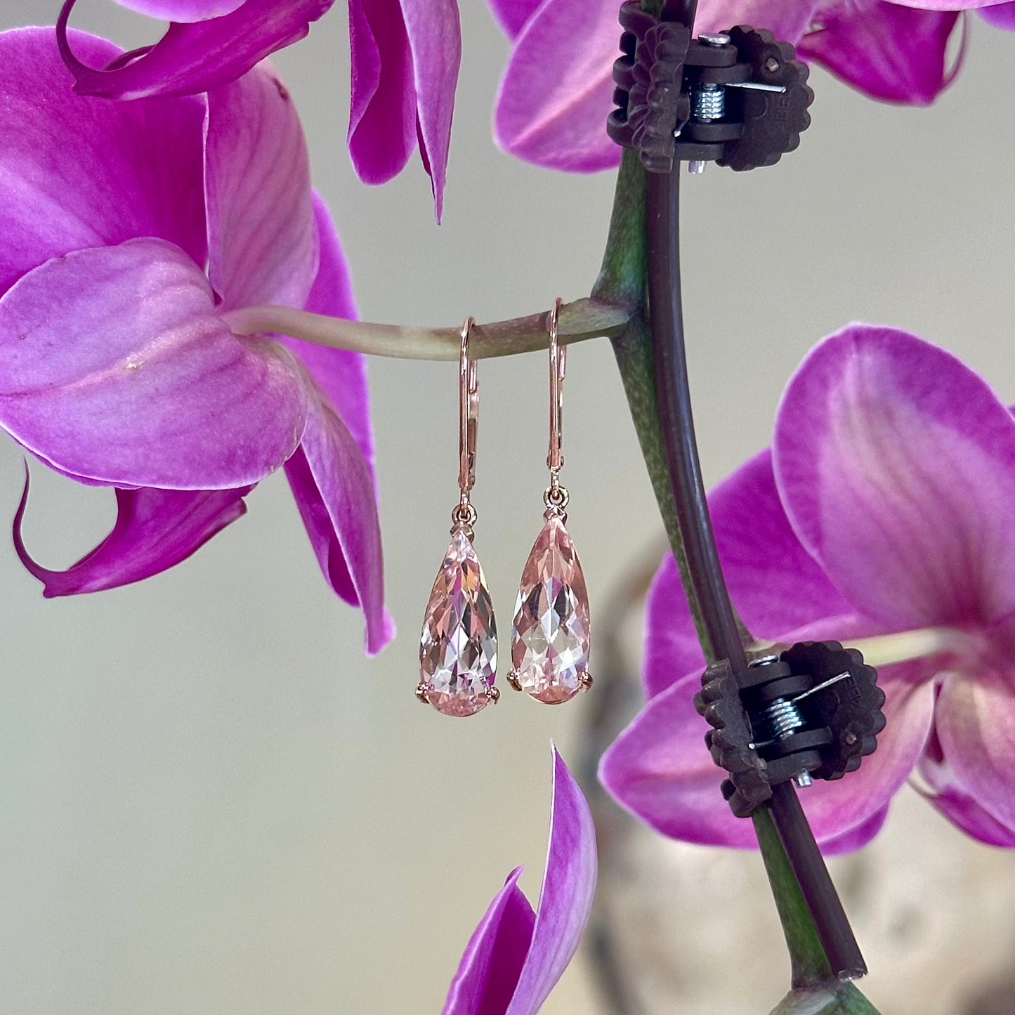 Morganite Pear Drop Earrings