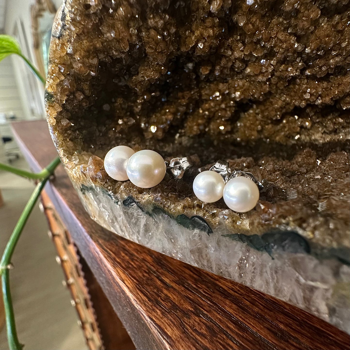 Freshwater Ivory Pearl Studs