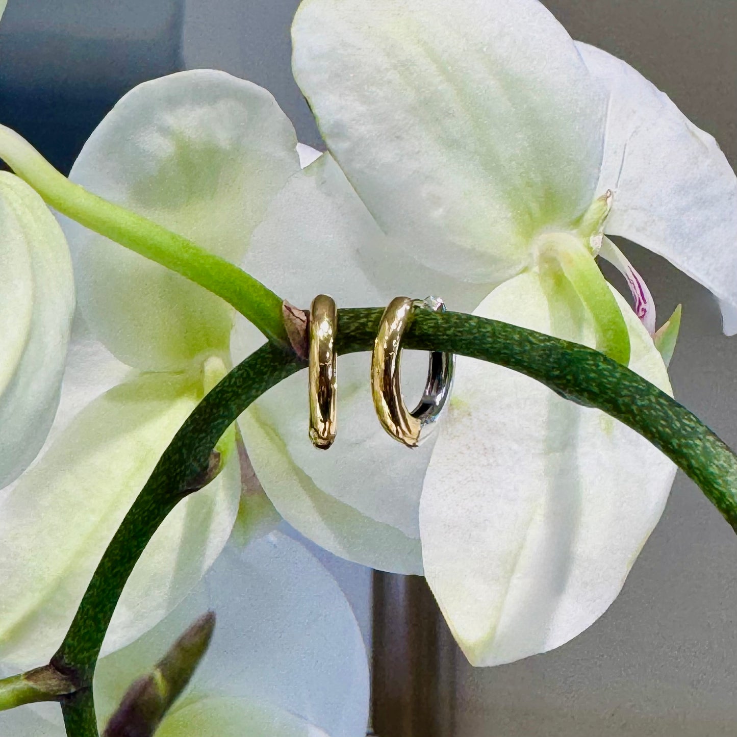 Two-Toned Gold Medium Hoop