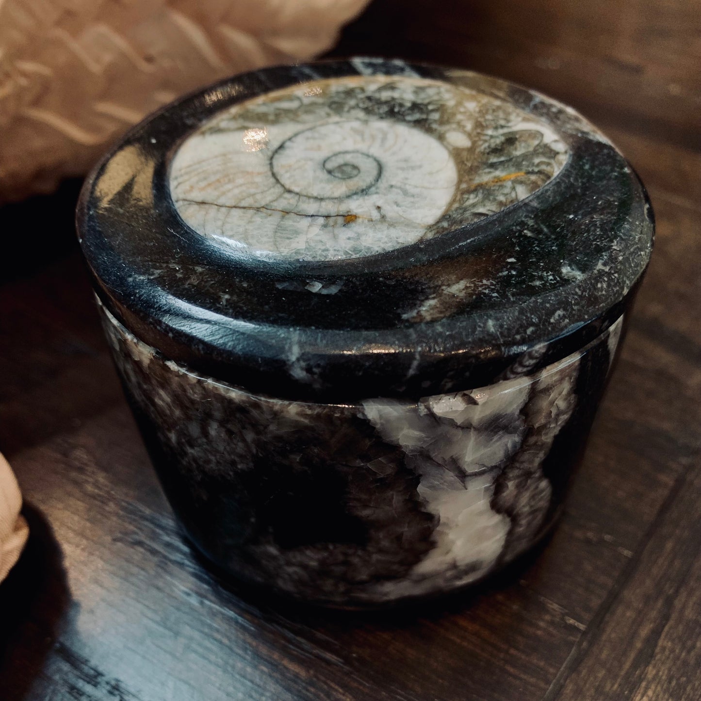 Orthoceras Round Box