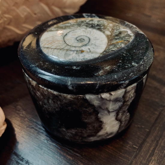 Orthoceras Round Box