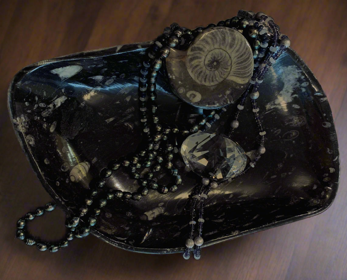 Orthoceras Pointed Oval Bowl