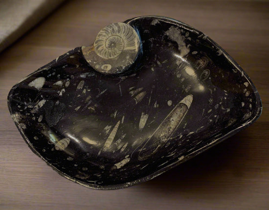 Orthoceras Pointed Oval Bowl