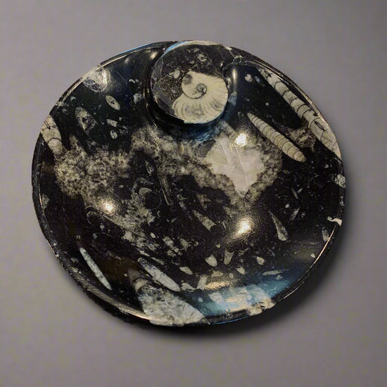 Orthoceras Round Plate
