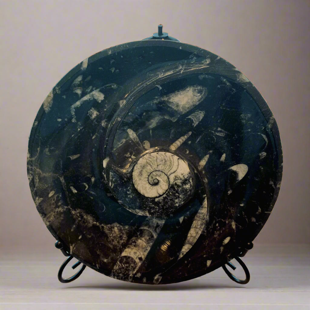 Orthoceras Round Swirl Plate