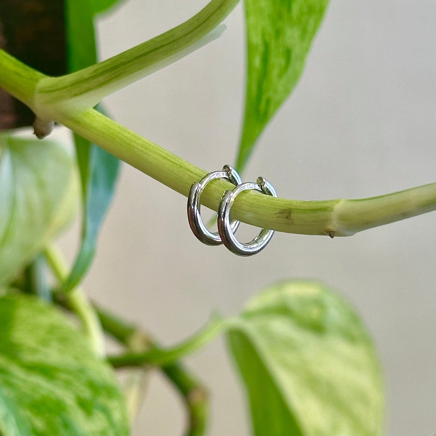 Mini Round Gold Hoops