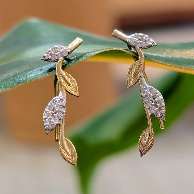 Vine Ear Climbers