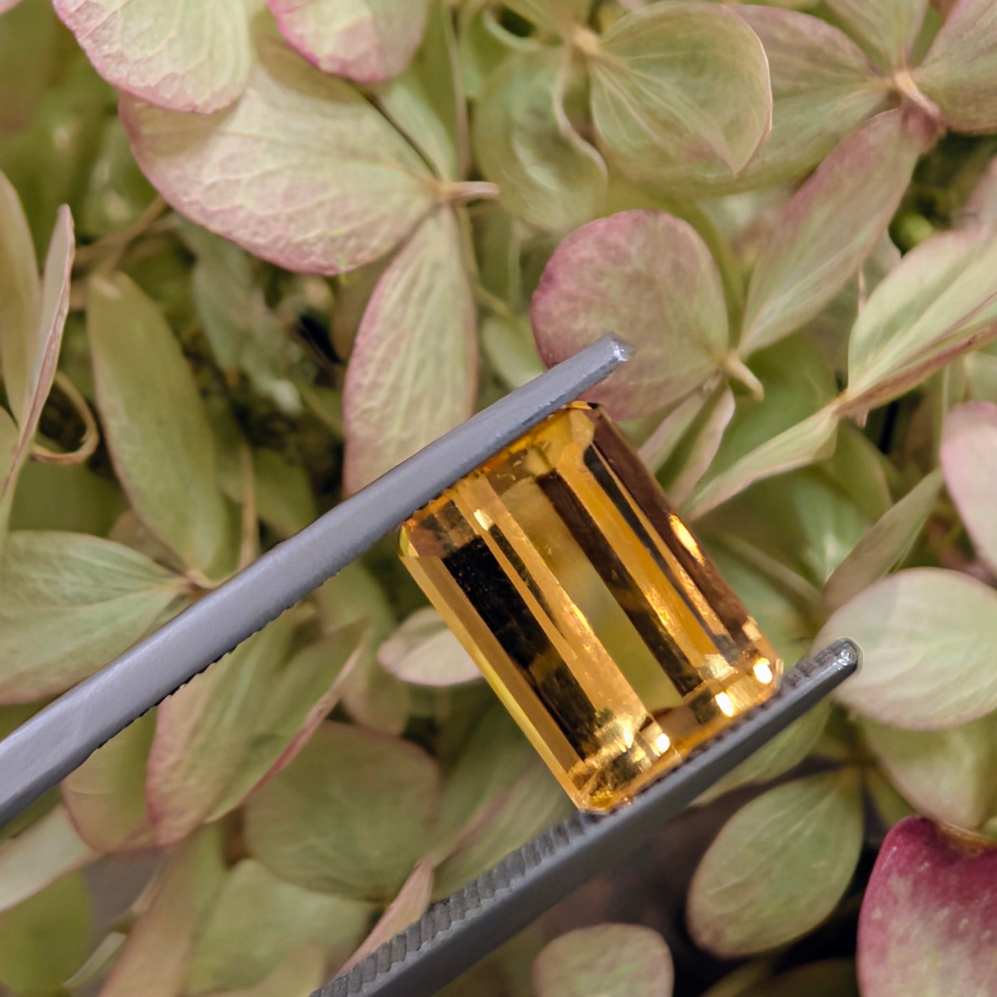 Precious Topaz, 3.34cts