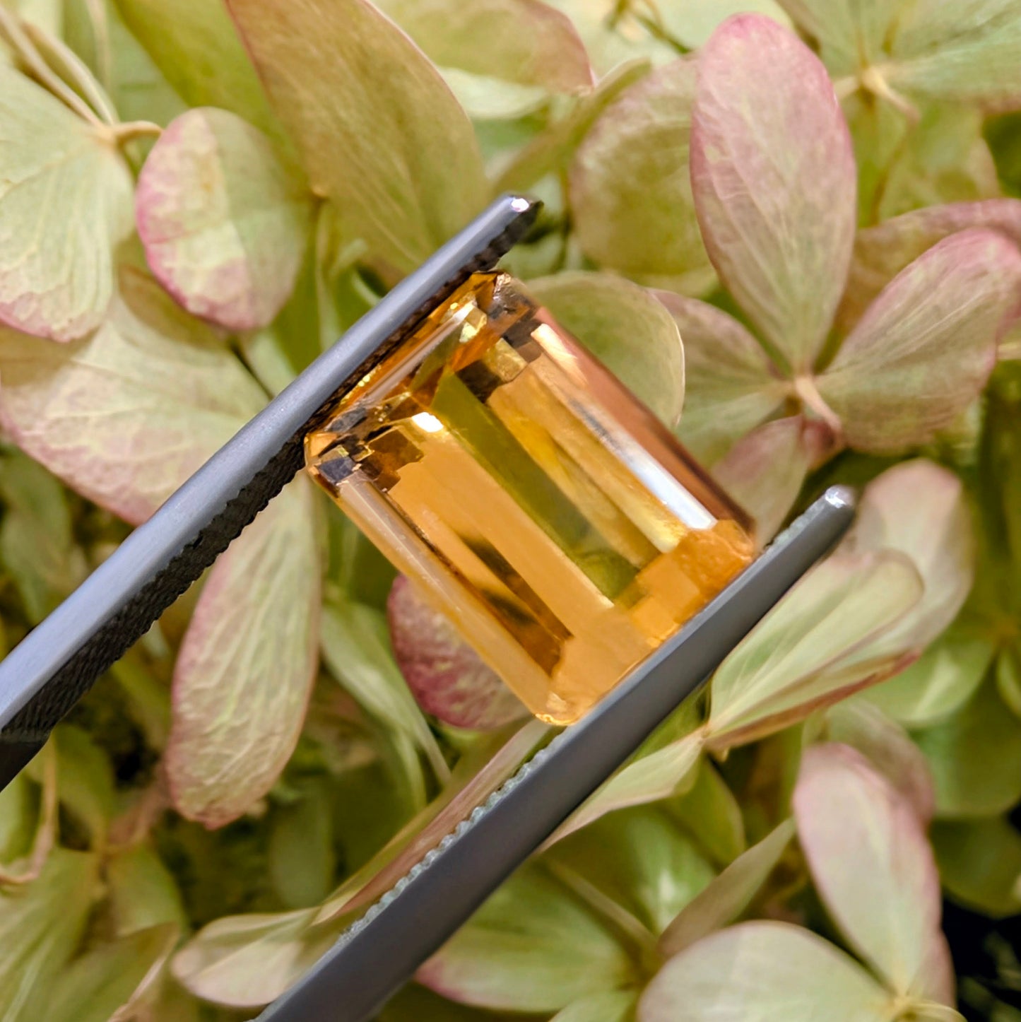 Precious Topaz, 3.34cts