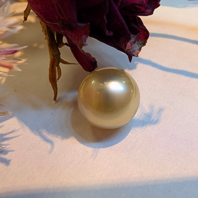 South Sea Golden Pearl