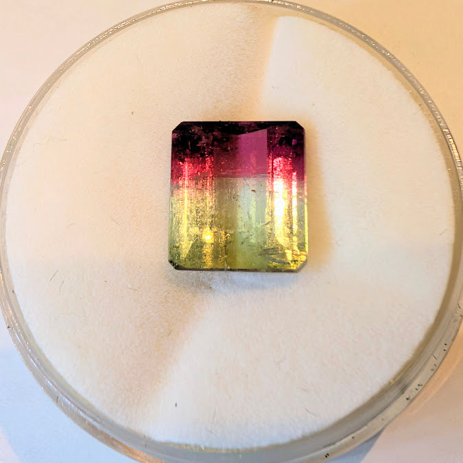 Bi-Color Tourmaline