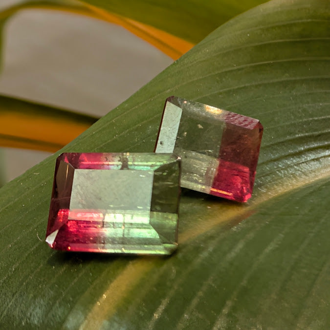 Bi-Color Tourmaline