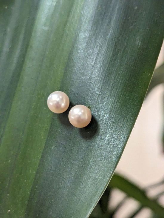 Photo of 7mm Freshwater Pearl Studs in a decorative scene, designed by , available at Plumb Gold & Plumb Silver