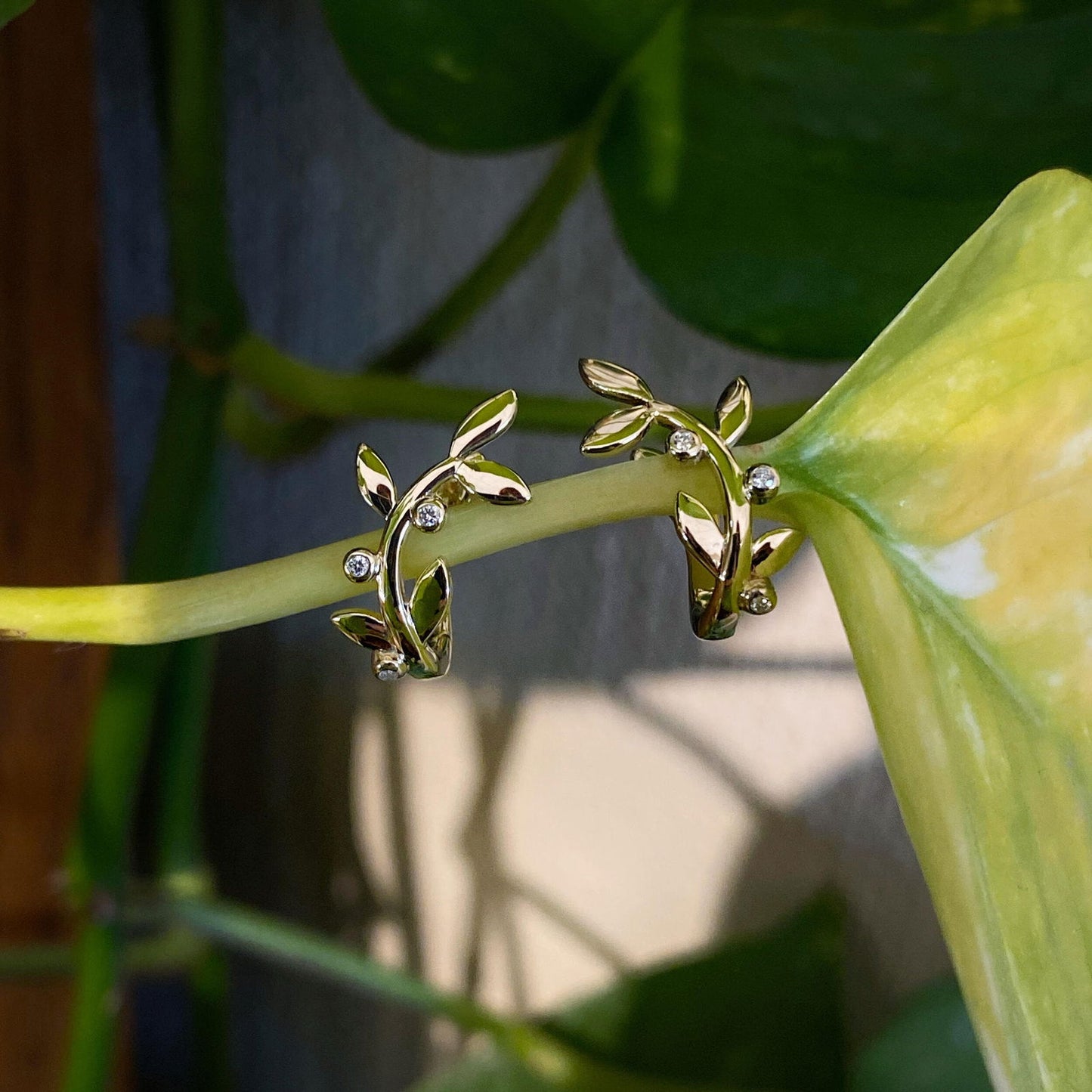 Photo of Breuning Vine Huggie Earrings in a decorative scene, designed by , available at Plumb Gold & Plumb Silver