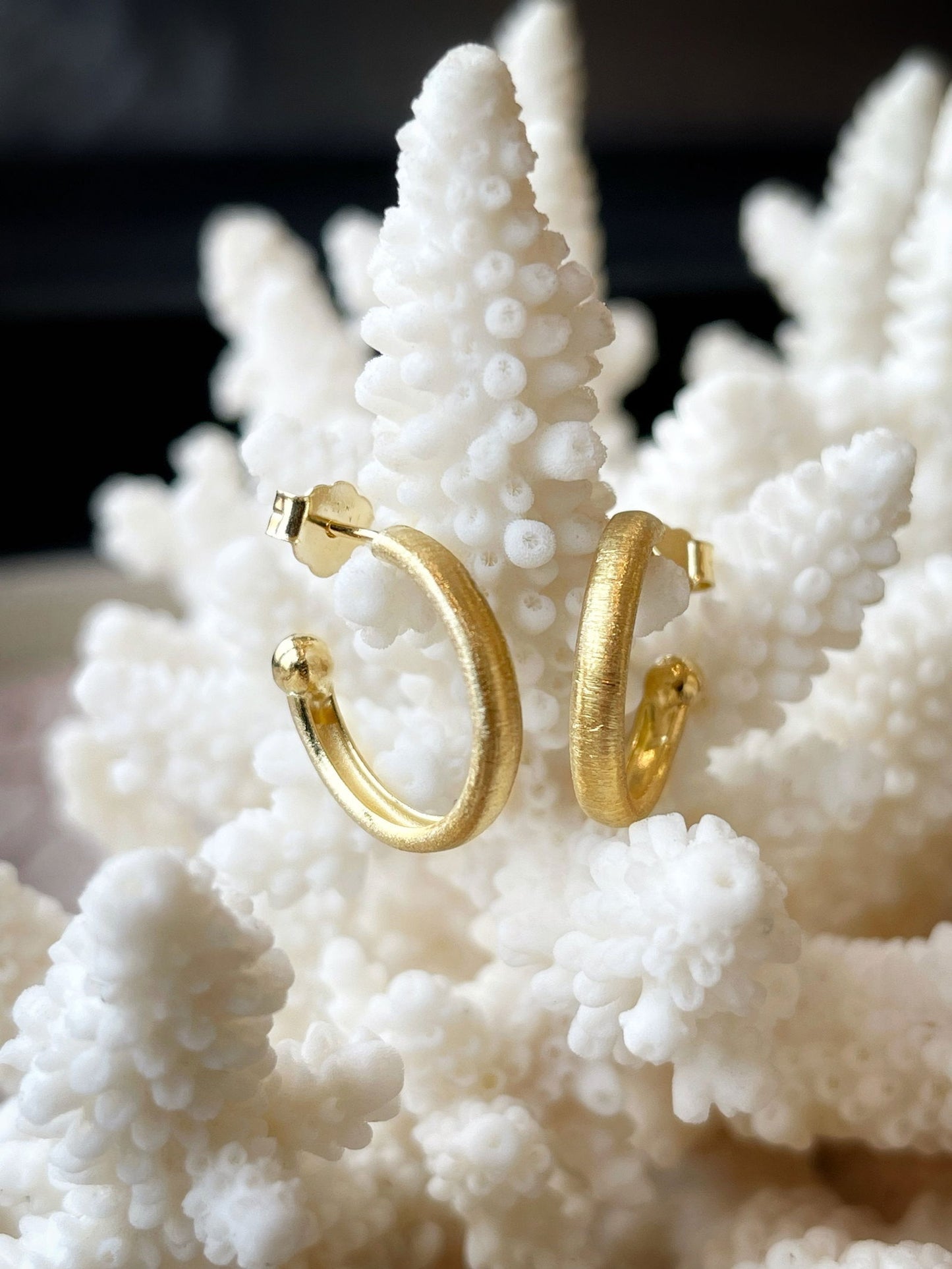 Photo of Brushed Hoops in a decorative scene, designed by , available at Plumb Gold & Plumb Silver