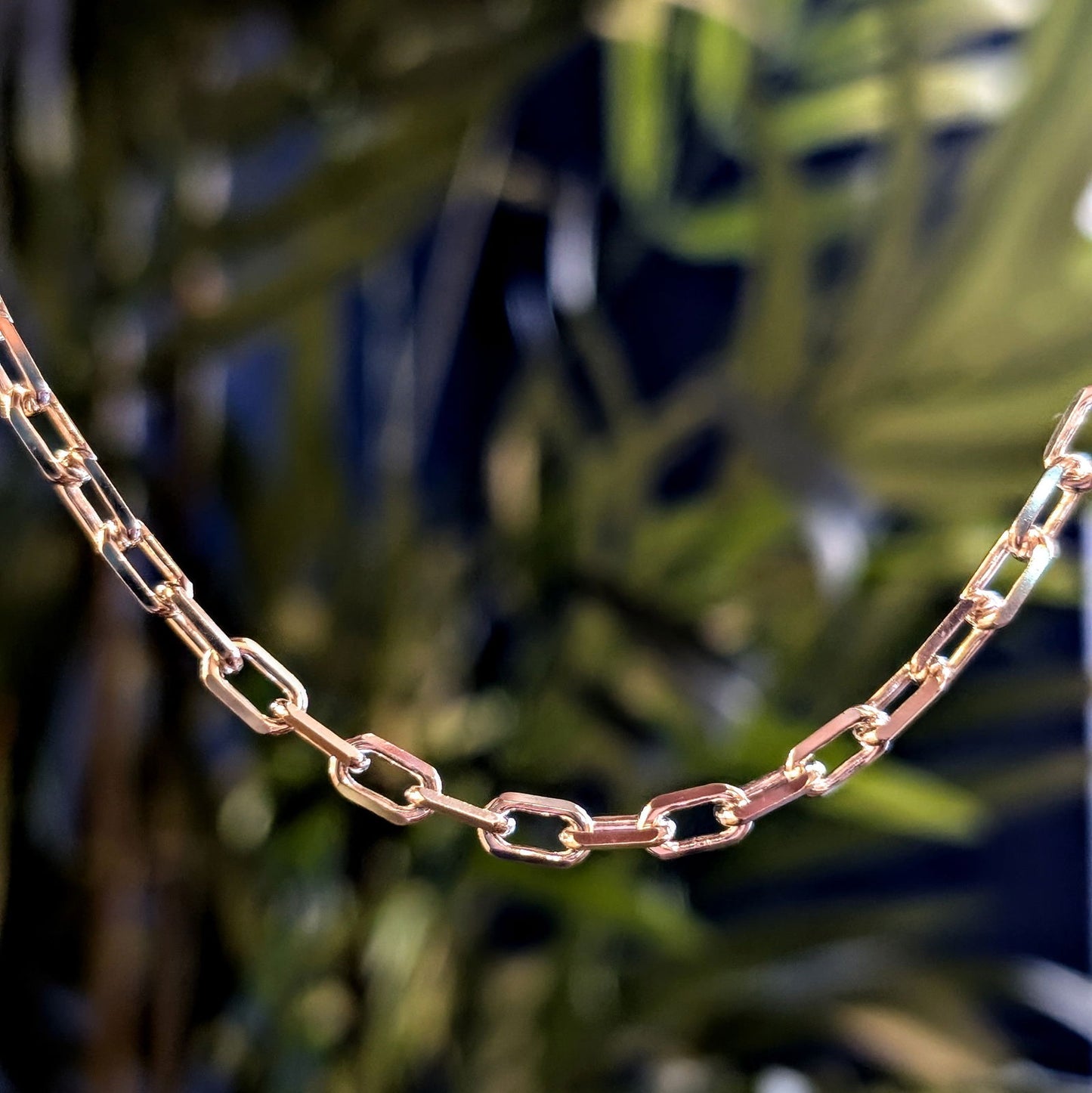 Photo of Cable Chain Necklace in a decorative scene, designed by , available at Plumb Gold & Plumb Silver