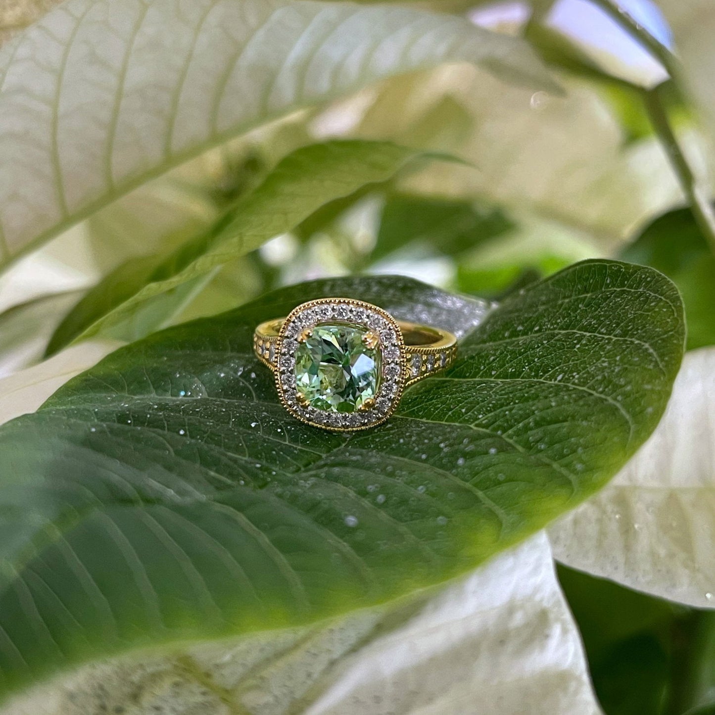 Photo of "Chantal" Ring in a decorative scene, designed by , available at Plumb Gold & Plumb Silver