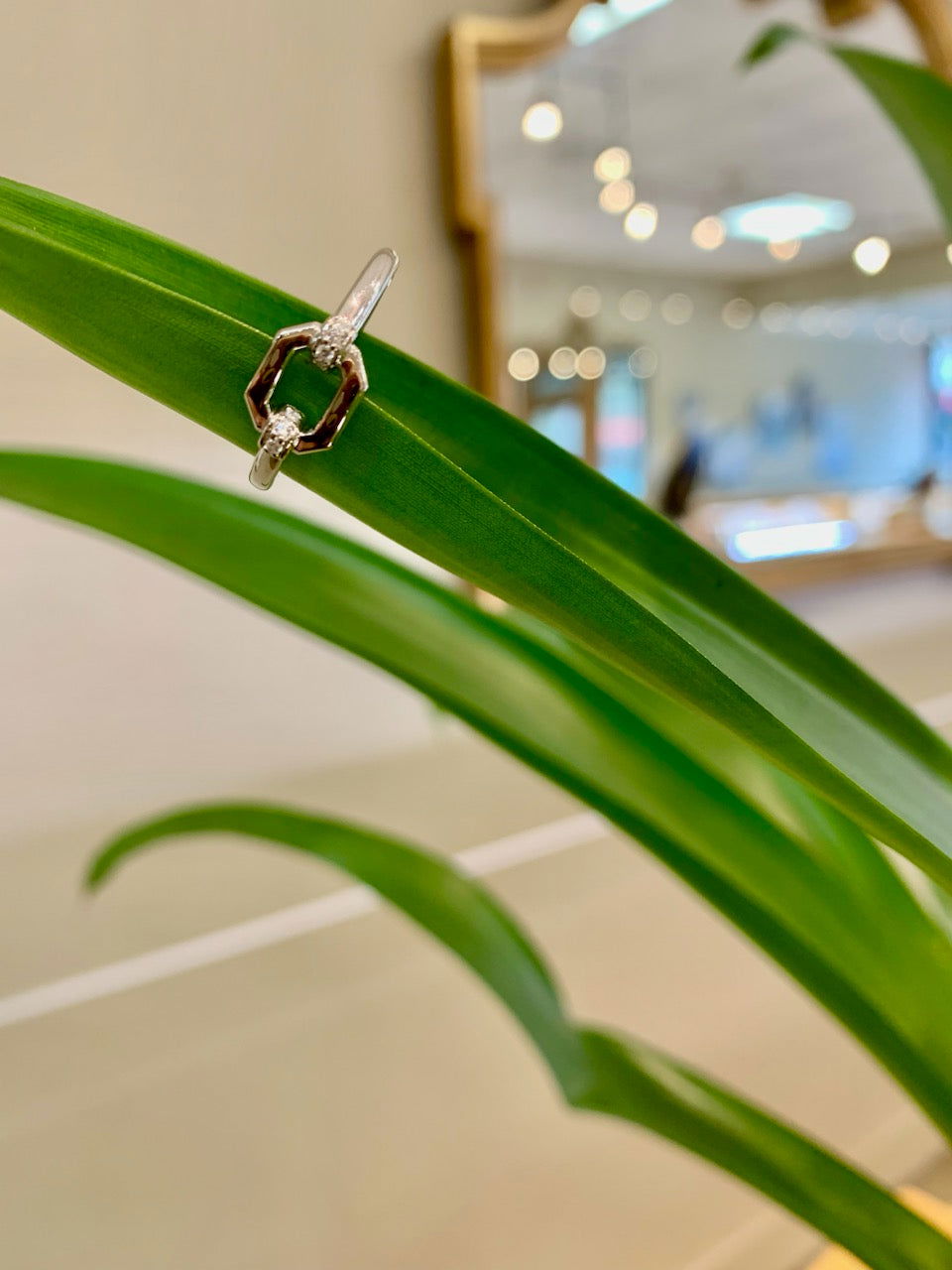 Photo of Cz Link ring in a decorative scene, designed by , available at Plumb Gold & Plumb Silver