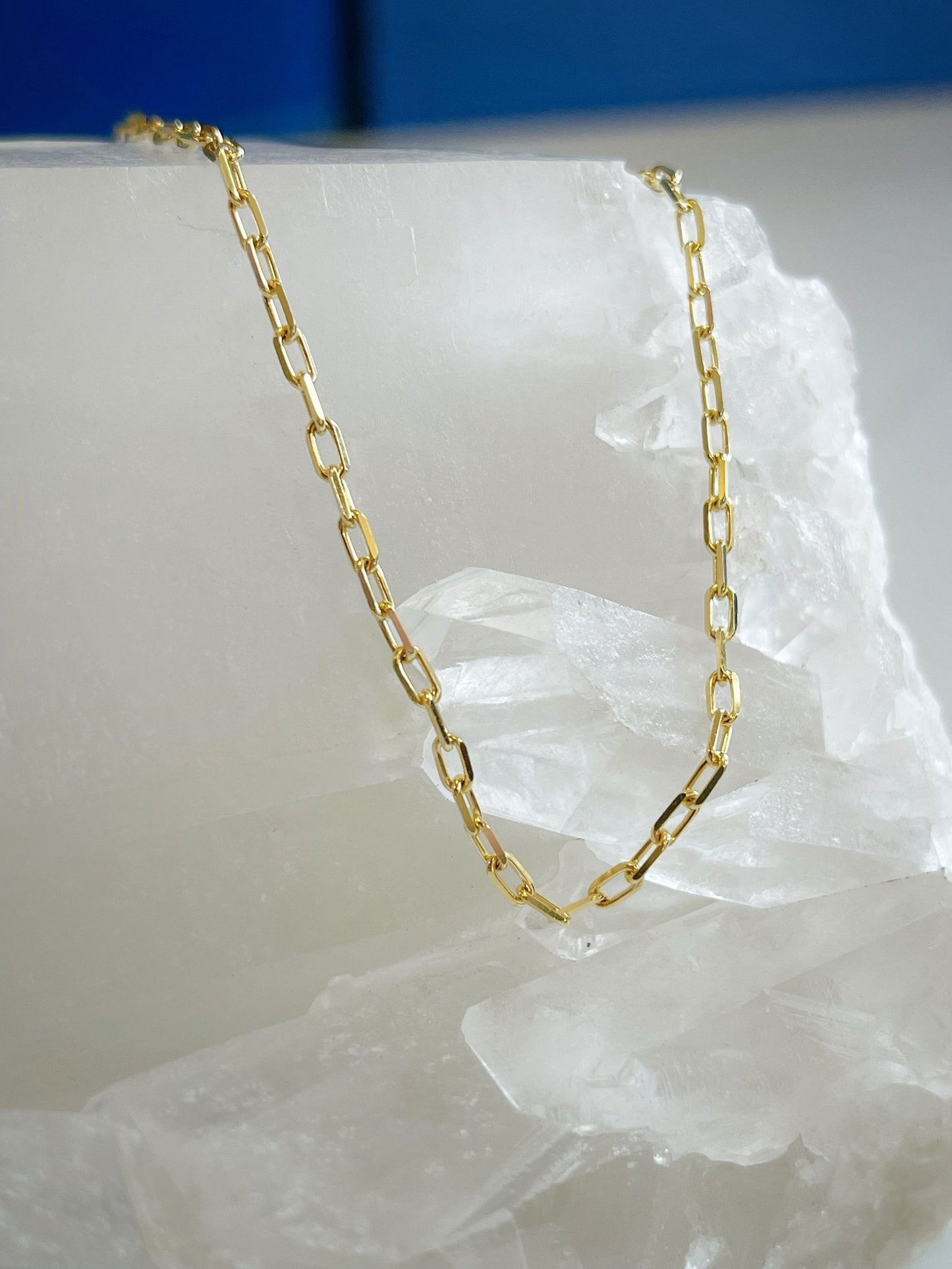 Photo of Diamond Cut Oval Chain in a decorative scene, designed by , available at Plumb Gold & Plumb Silver