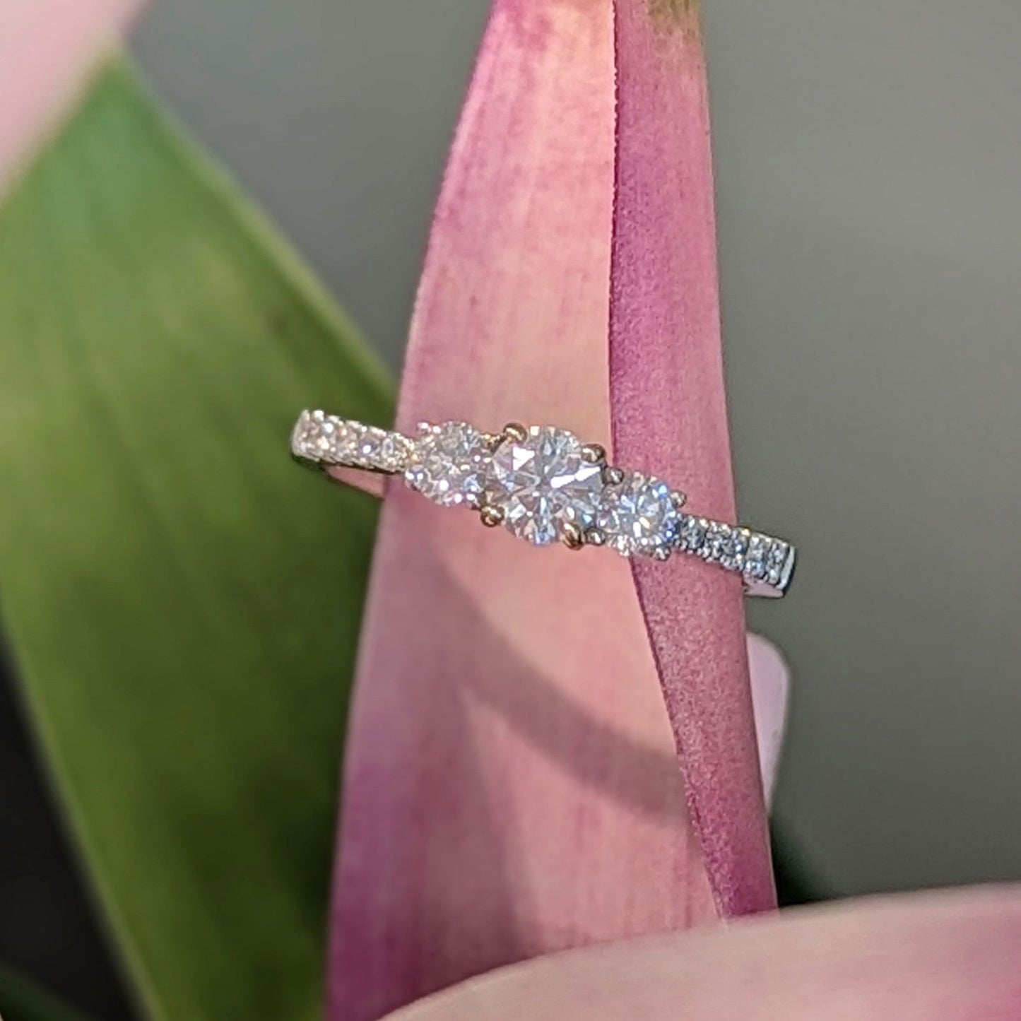 Photo of Diamond Three Stone Ring in a decorative scene, designed by , available at Plumb Gold & Plumb Silver