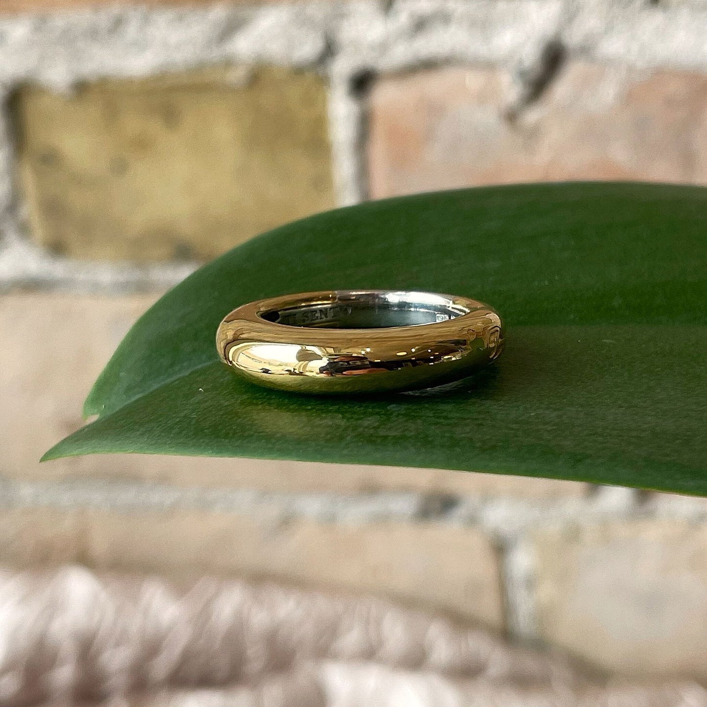 Photo of Domed Band in a decorative scene, designed by , available at Plumb Gold & Plumb Silver