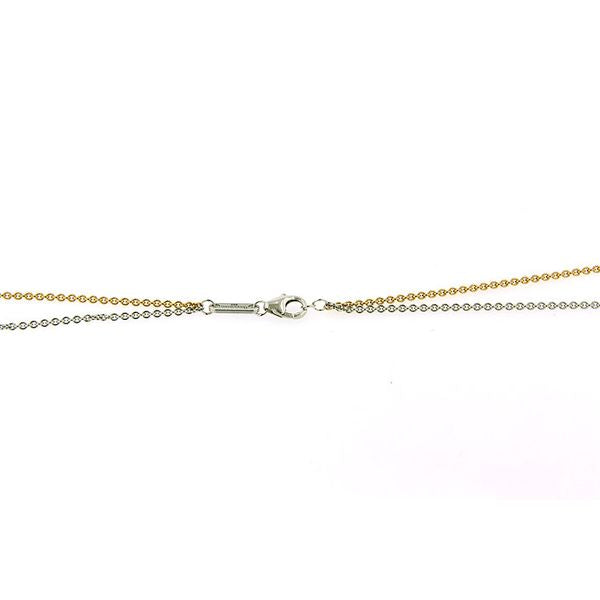 Photo of Double Strand Chain in a decorative scene, designed by , available at Plumb Gold & Plumb Silver