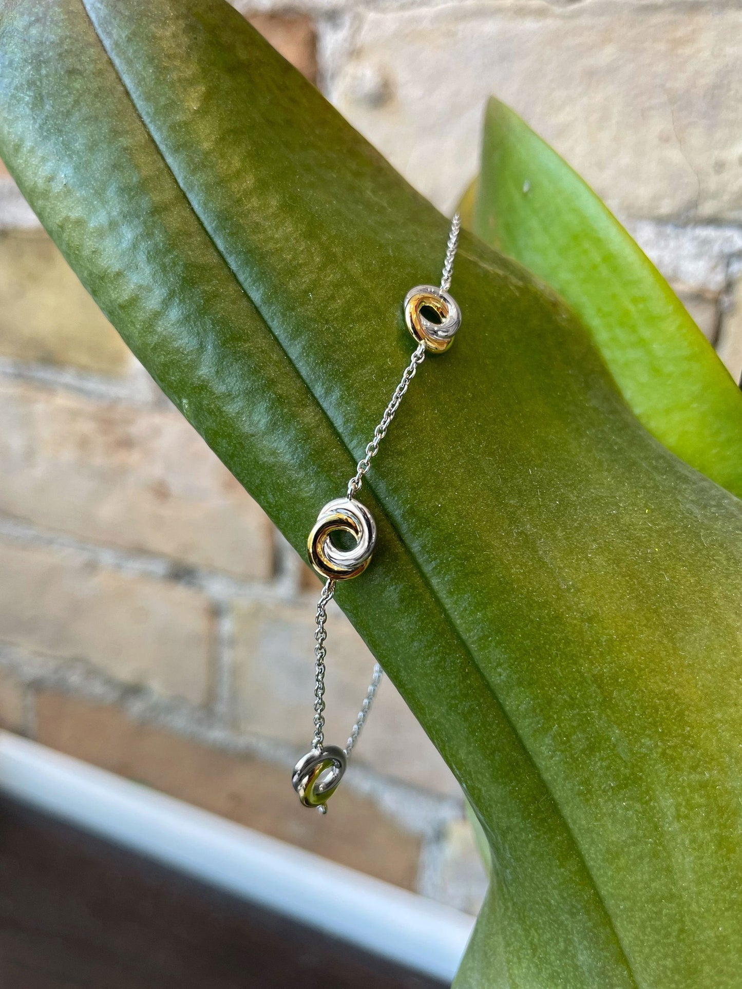 Photo of Entwined Circles Station Bracelet in a decorative scene, designed by , available at Plumb Gold & Plumb Silver