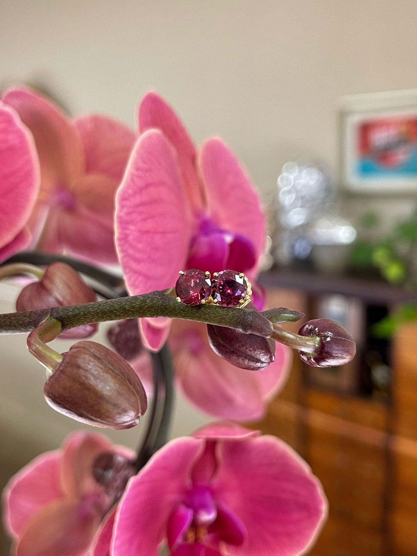 Photo of Garnet Studs in a decorative scene, designed by , available at Plumb Gold & Plumb Silver