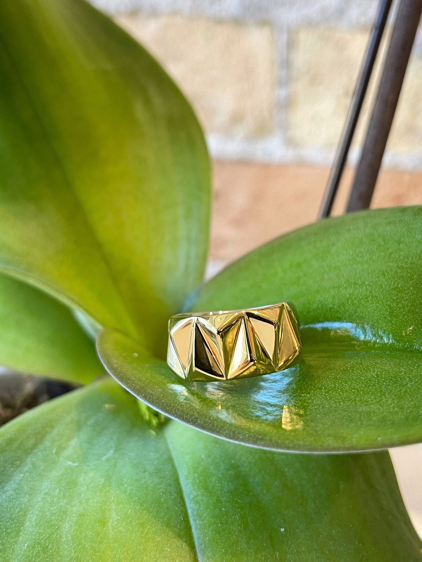 Photo of Geometric Ring in a decorative scene, designed by , available at Plumb Gold & Plumb Silver