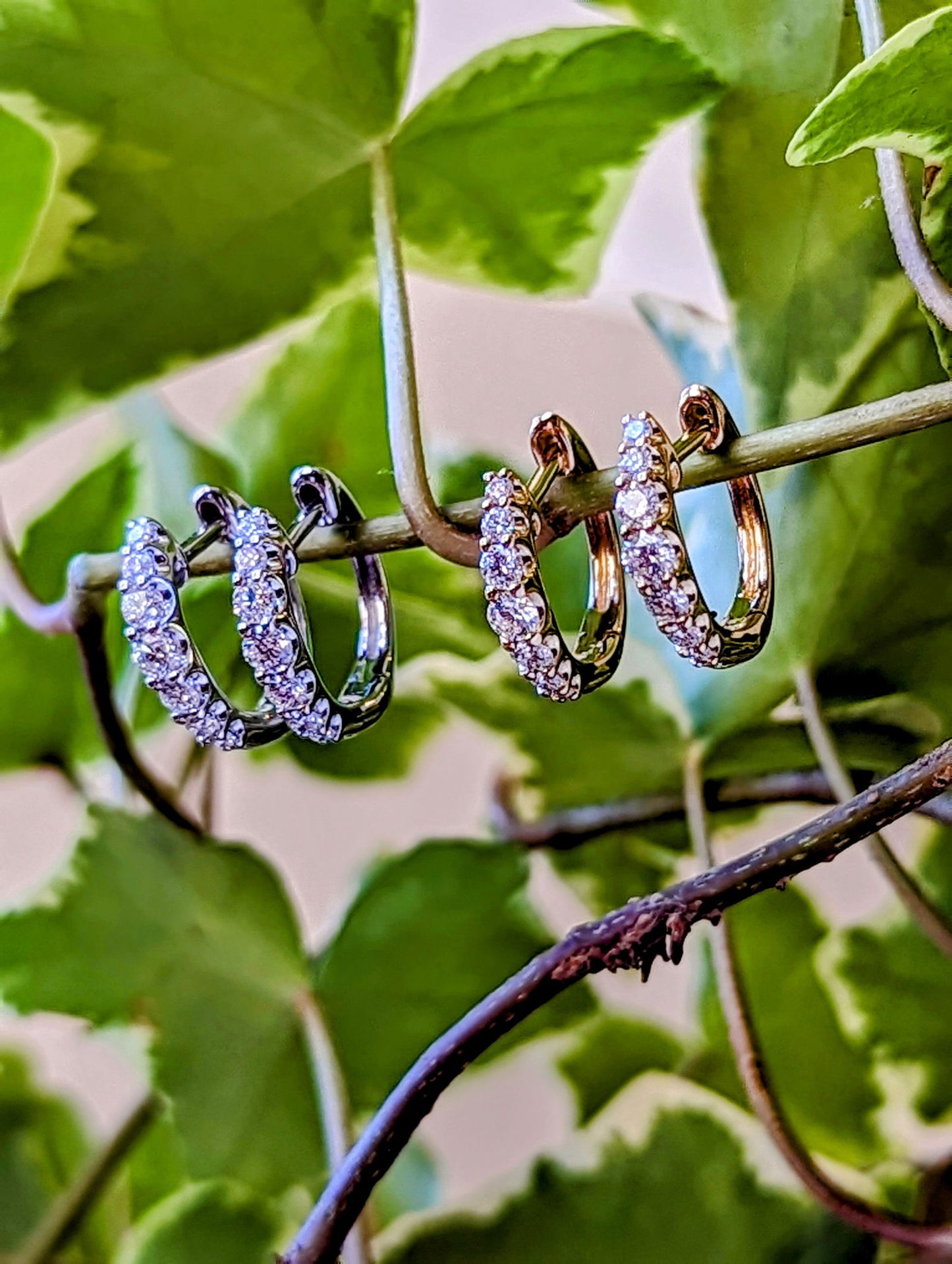 Photo of Graduated Diamond Huggie Hoops in a decorative scene, designed by , available at Plumb Gold & Plumb Silver