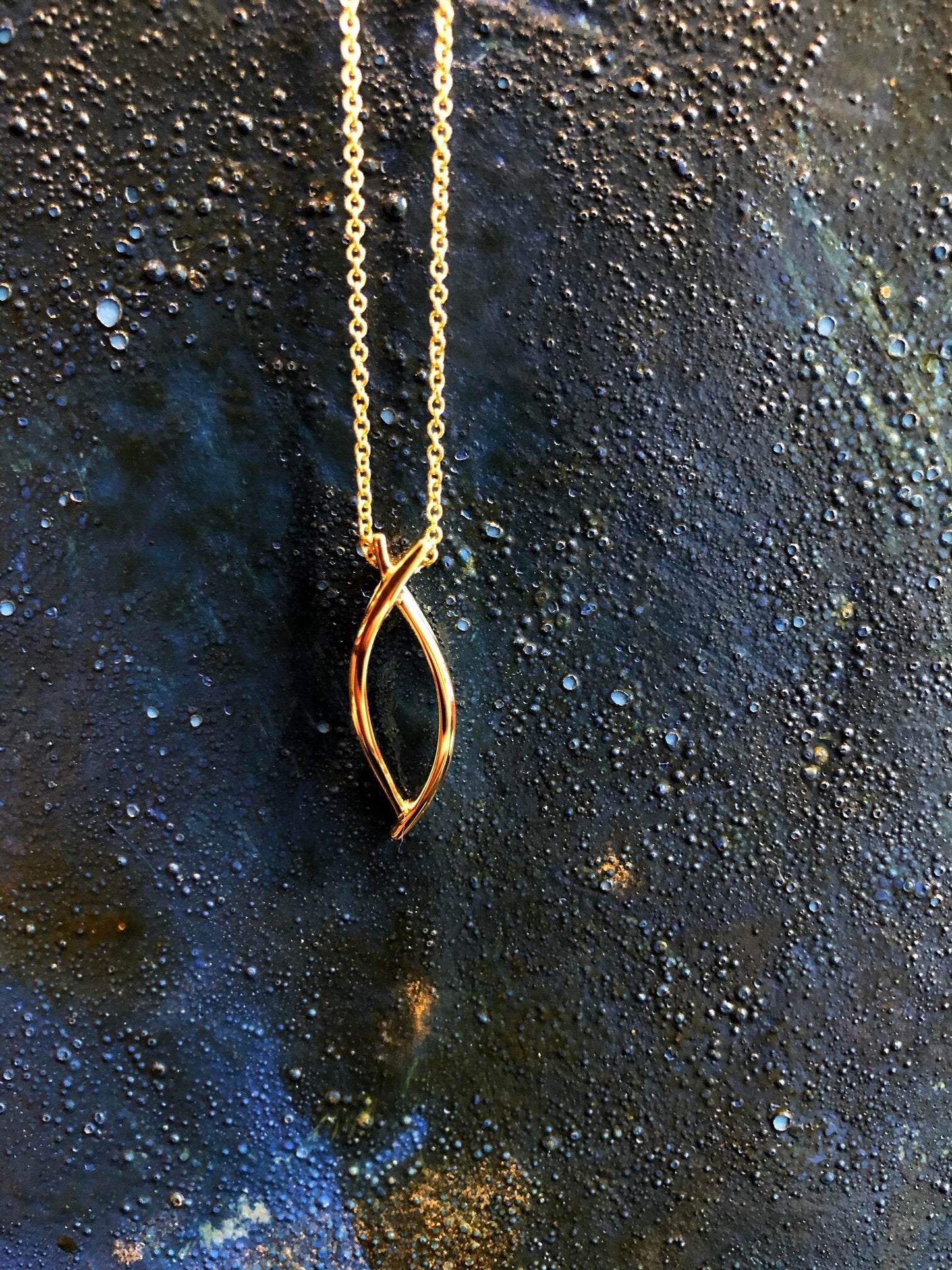 Photo of Ichthys Pendant in a decorative scene, designed by , available at Plumb Gold & Plumb Silver