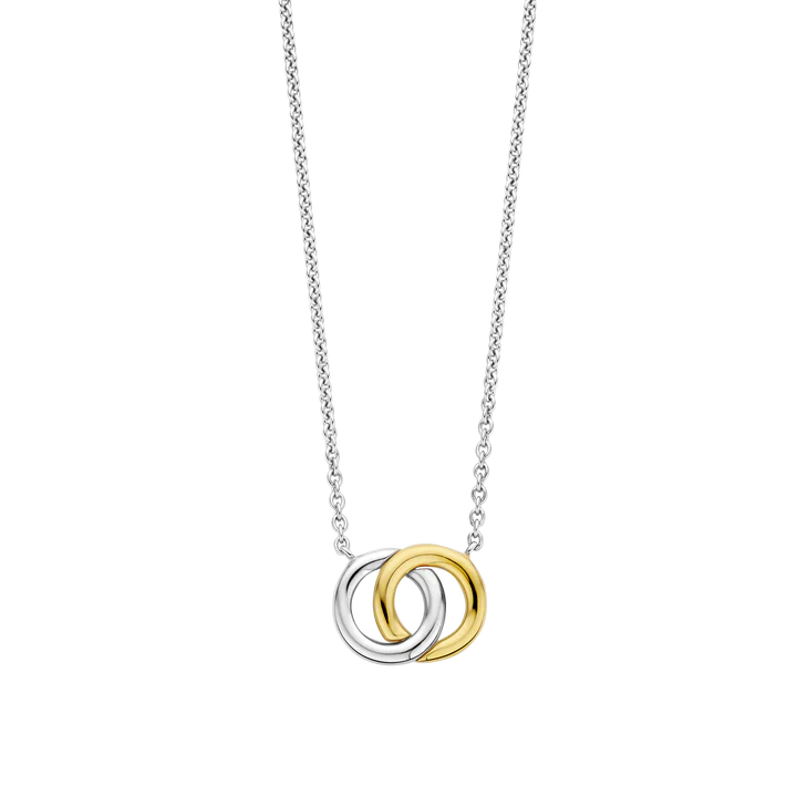 Photo of Interlocking Circles Necklace in a decorative scene, designed by -, available at Plumb Gold & Plumb Silver