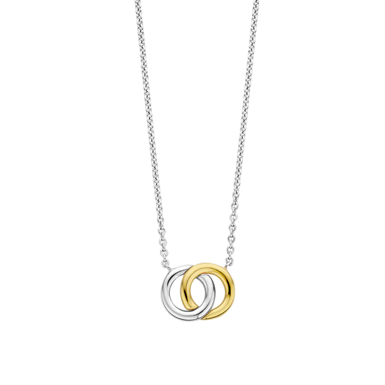 Photo of Interlocking Circles Necklace in a decorative scene, designed by -, available at Plumb Gold & Plumb Silver