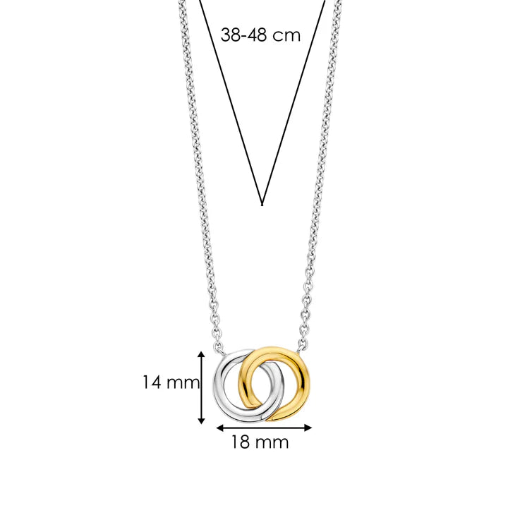 Photo of Interlocking Circles Necklace in a decorative scene, designed by -, available at Plumb Gold & Plumb Silver