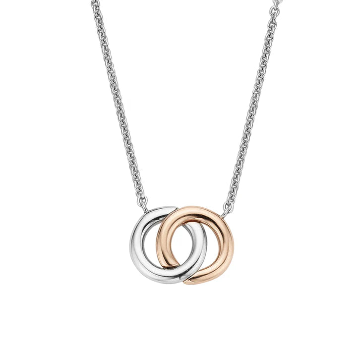 Photo of Interlocking Circles Necklace in a decorative scene, designed by -, available at Plumb Gold & Plumb Silver