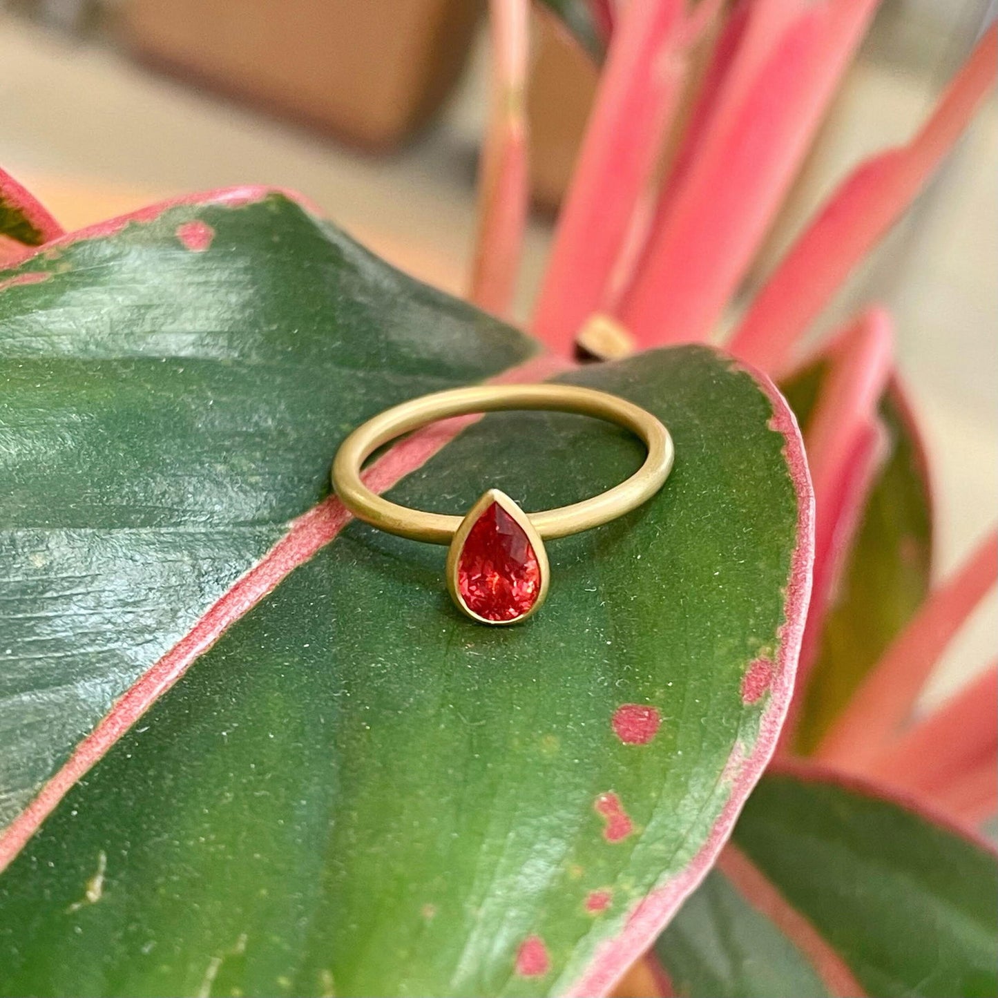 Photo of Kim Collins Coral Spinel Ring in a decorative scene, designed by , available at Plumb Gold & Plumb Silver