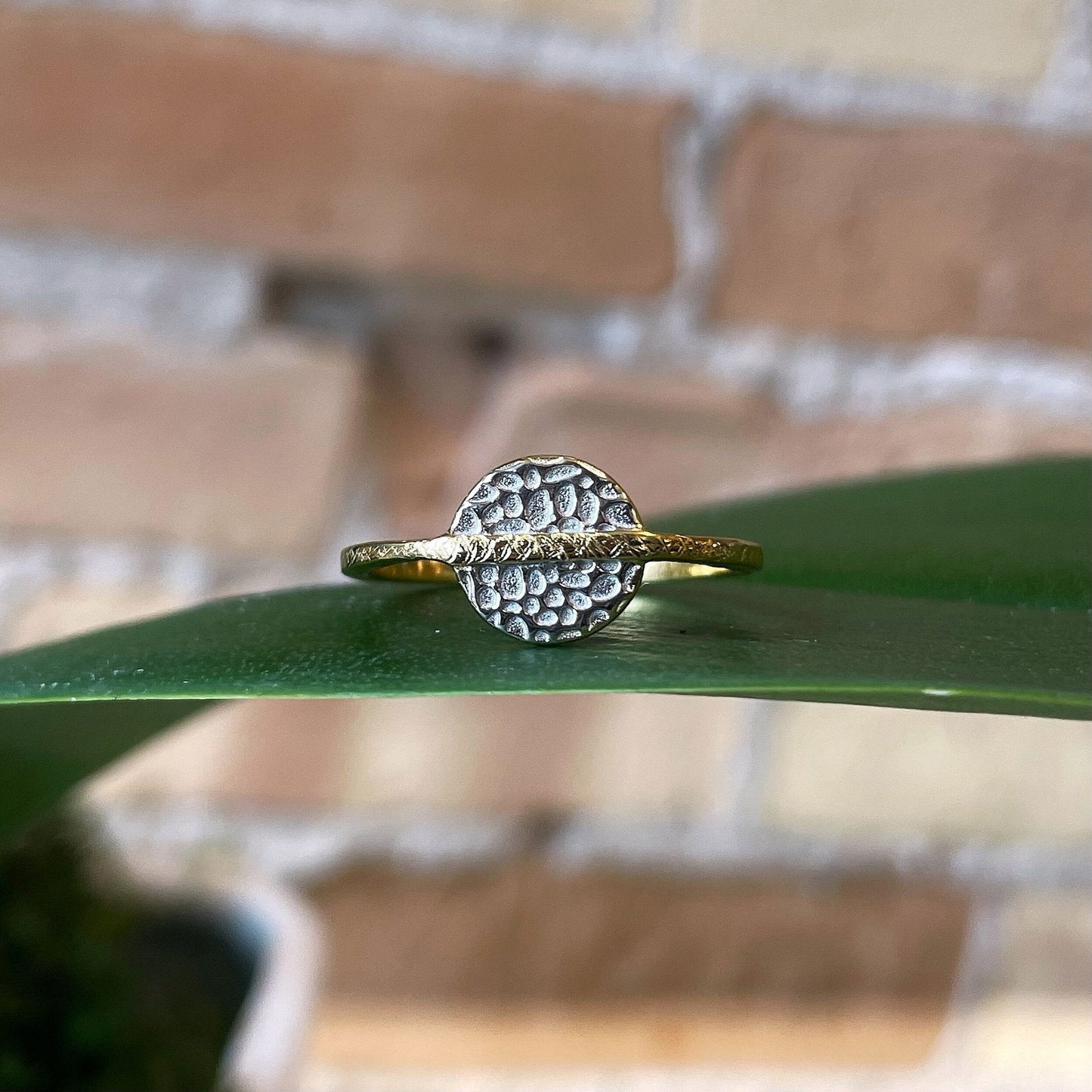 Photo of “Kymbal” Ring in a decorative scene, designed by , available at Plumb Gold & Plumb Silver