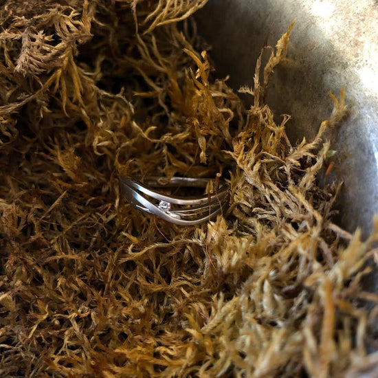 Photo of Matte and Shiny Curved Ring in a decorative scene, designed by , available at Plumb Gold & Plumb Silver